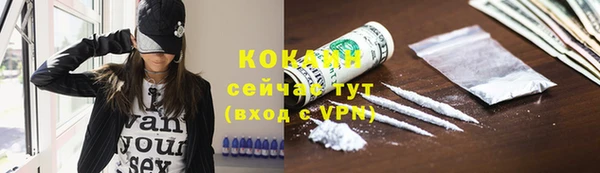 твердый Белокуриха