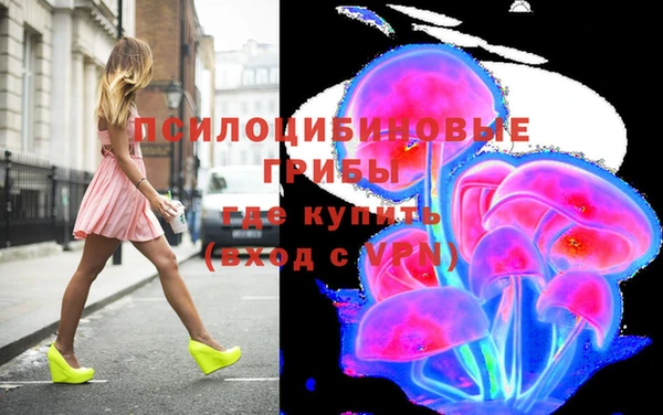 твердый Белокуриха